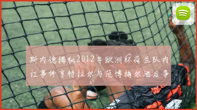 斯内德揭秘2012年欧洲杯荷兰队内讧事件亨特拉尔与范博梅尔酒后争执内幕