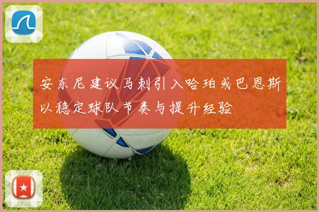 安东尼建议马刺引入哈珀或巴恩斯以稳定球队节奏与提升经验