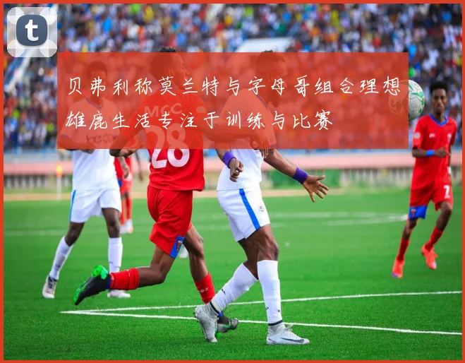 贝弗利称莫兰特与字母哥组合理想雄鹿生活专注于训练与比赛